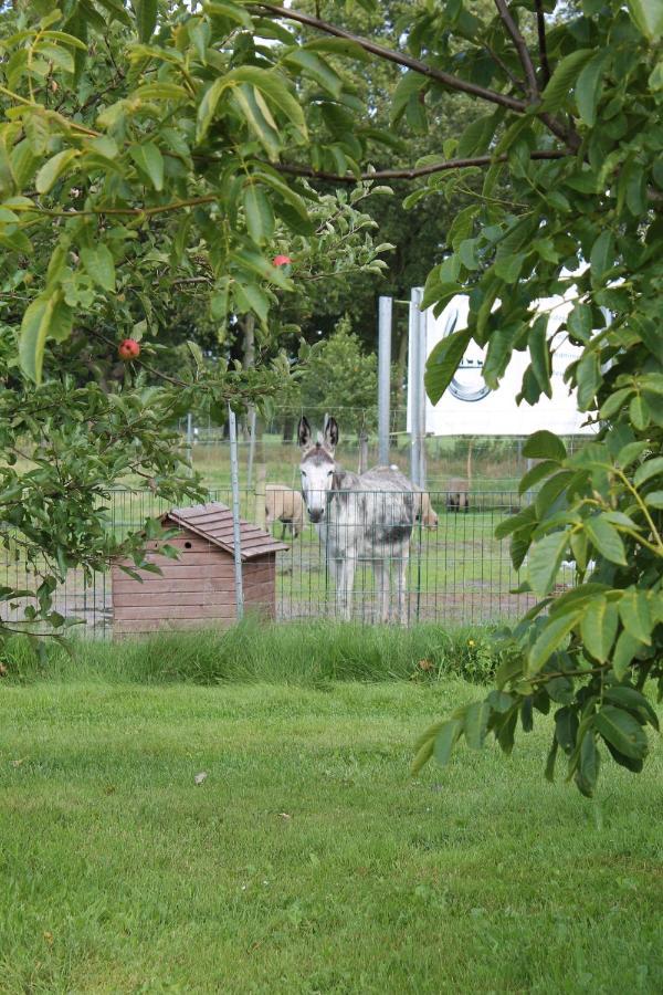 Balzwiekje Auszeit Auf Pferdehof In Ostfriesland Ihlow  Esterno foto